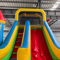 Tobogán Inflable Comercial, Castillo Inflable Combinado, PVC de 0.55mm, Castillo de Brinco para Alquiler en Fiestas Infantiles