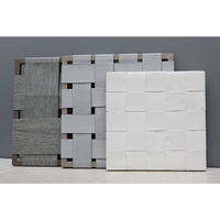 Sangle plate en PVC durable de 40 mm, ruban tissé pour mobilier de villa, chaises longues, dessous de verre, napperons, corde en sangle