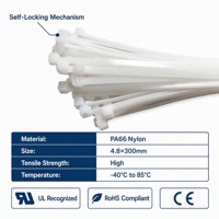 Bridas de nailon PA66 autoblocantes UL 94V-2 de 4.8x300mm, resistentes, para cables eléctricos industriales