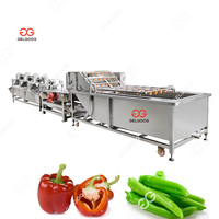 Food Grade Groente Wassen Kleur Sorteerder Lijn Zwarte Peper Reinigings-En Sorteermachine
