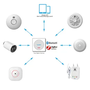 제조 뜨거운 판매 CE Tuya 와이파이 홈 경보 시스템