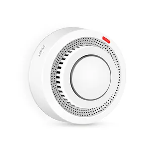 无线智能家居应用Wifi报警系统支持Alexa家庭安全传感器wifi火灾报警图雅智能烟雾探测器