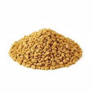 Graines de fenugrec indien fraîches et biologiques (Methi Dana) – Qualité export, épices en poudre, prix de gros - Product Image 4