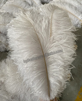 40-45cm Plumes d'autruche naturelles pour fête Carnaval Maison Mariage Centre de Table Xmas Holiday Decor DIY Craft Floral