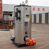 CE Certifié Tube D'eau À Trois Passes Petite Taille Vapeur Capacité 500 700 1000 KG/h Gaz Naturel GPL Diesel Chaudière À Vapeur À Fioul