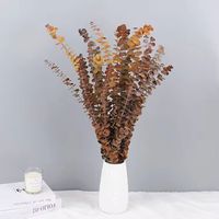 Feuilles d'eucalyptus naturelles préservées, fleurs séchées, décoration éternelle pour Noël, mariage, fête des mères, longue durée (3-5 ans), pour la douche