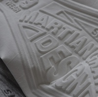 T-Shirts Homme Grande Taille Personnalisés en Coton pour Extérieur, Manches Courtes, Imprimé 3D en Relief, Sérigraphie Mousse, En Gros
