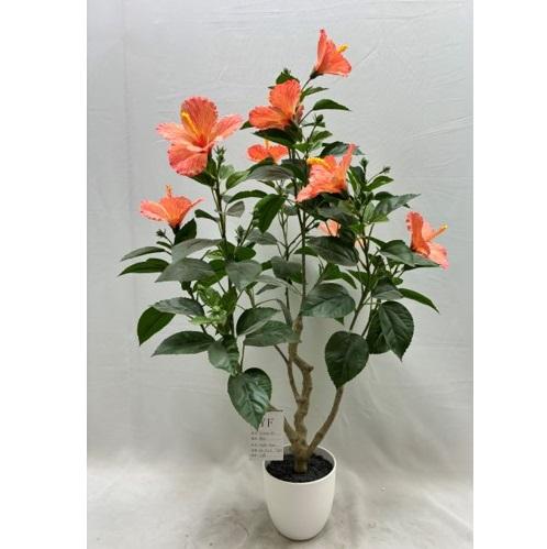 2024-90 (สูง: 90ซม.)