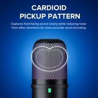 Microphone à condensateur cardioïde professionnel de type C pour l'enregistrement de podcasts, les jeux et les studios