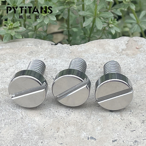 Nhà Máy Bán Buôn Chất Lượng Cao Rãnh Vít <span class=keywords><strong>Din84</strong></span> Gr2 Gr5 Titan Vít M6 Bởi Pytitans - Product Image 5
