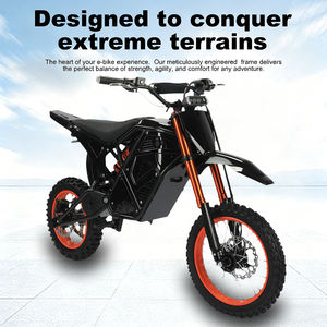 Motocyclette électrique de course tout terrain aux États-Unis, entraînement par chaîne, moto à moteur électrique de 1500 à 3000W, moto à suspension complète, en stock - Product Image 5