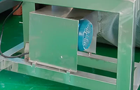 Ananas-pulper en sapmachine 380V, hoge productiviteit, motor aangedreven fruitpulp-extractor voor sap