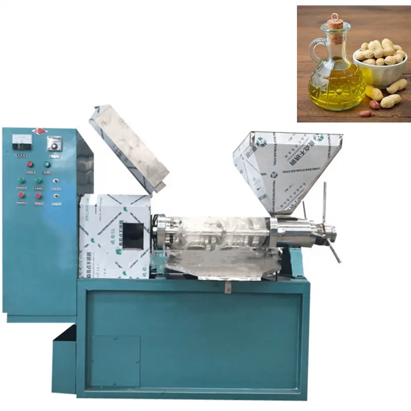 Customizable cold press Italy automatic oil expeller machine