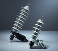 Parafoudre extérieur sans interstice TANHO YH10W-15 15KV à oxyde de zinc avec boîtier en polymère de caoutchouc silicone pour haute tension