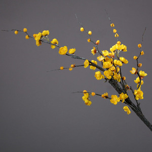 Bouquet <span class=keywords><strong>de</strong></span> fleurs <span class=keywords><strong>de</strong></span> prunier artificielles pour <span class=keywords><strong>la</strong></span> décoration <span class=keywords><strong>de</strong></span> bureau, <span class=keywords><strong>de</strong></span> jardin et <span class=keywords><strong>de</strong></span> <span class=keywords><strong>la</strong></span> maison, fleurs artificielles imitées personnalisables - Product Image 2