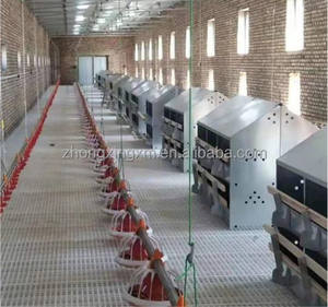 Caja de nido de huevos manual de 24 agujeros galvanizada en caliente a precio competitivo para gallinero cajas de Nido de Pájaros para gallinas - Product Image 4