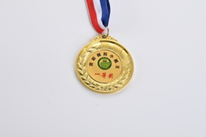 Medalla de metal fundido con temática de buceo hecha a mano, motivo atlético, cinta azul ceremonial, trofeo de hierro para regalos de bienvenida inspirados en el océano - Product Image 4