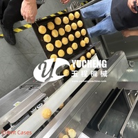 Machine à Arancini Commerciale Multifonctionnelle en Acier Inoxydable pour la Production d'Encrustés et de Snacks en Usine