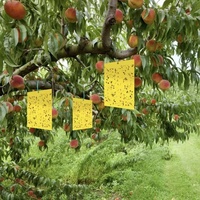 Pièges à mouches jetables en gel jaune, pièges collants pour insectes avec une capacité de 250-750 ml pour les fourmis, les moustiques, les pucerons, lutte antiparasitaire des plantes en extérieur