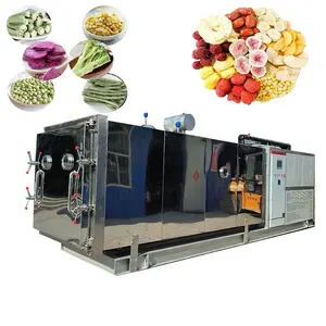 industrial food drying lyophilization machine food freeze dryer vacuum freeze drying equipment Fruit meat Vacuum Freeze dryer