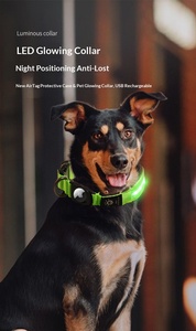 Kalung Anjing LED Taktis Nylon dengan Tempat Chip Pelacak, Menyala dalam Gelap, Tahan Air, Dapat Diisi Ulang via USB, OEM - Product Image 5
