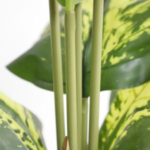 常緑観賞用樹木人工植物の屋内タイプ - Product Image 3