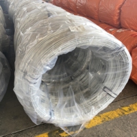 Alambre de unión de acero de bajo carbono galvanizado en caliente con alto contenido de zinc, modelo 3600, procesamiento personalizado según muestras, proveedor