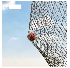Red de críquet de alta resistencia para práctica de bateo y lanzamiento, red de entrenamiento premium para principiantes, jugadores intermedios y avanzados. - Product Image 1