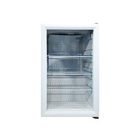 Réfrigérateur Mini Bar Congélateur à Glace Coffre à Glace pour Boissons Dropshipping avec Logo Personnalisé