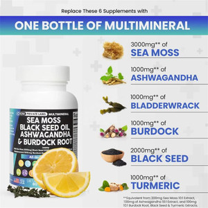 Cápsulas de Musgo Marino con Vitaminas, Aceite de Semillas Negras, Ashwagandha y Raíz de <span class=keywords><strong>Bardana</strong></span> - Mejora la Inmunidad, 60 Cápsulas para Adultos - Product Image 3