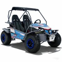 Vente flash - Kart à essence 4 temps 2 places 180CC - Dune buggy pour adultes - Parc d'attractions - Aventure en plein air - UTV - Tout-terrain - Buggy de plage