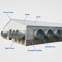 Nave Avícola de Acero con Control Climático, Gallinero Ventilado con Sistema de Refrigeración para Cría de Alta Densidad