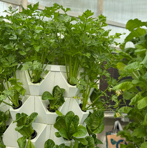 High Quality Pineapple Aeroponic <strong>Tower</strong> 48/64/80/96 <strong>Planting</strong> Holes Vertical Growing System with Pump - Product Image 4
