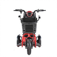 Tricycle Électrique Pliant à Pièces Détachées, Chaise de Mobilité de Loisirs, Moteur Brushless, Autonomie 30km, Pour Personnes Handicapées et Âgées, Propulsion Arrière, Ouvert
