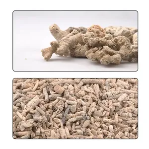 พิพิธภัณฑ์สัตว์น้ําจัดสวนหินปะการังทรายปะการัง - Product Image 6