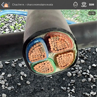 Cable Eléctrico de Cobre Aislado con XLPE/PVC de Bajo Voltaje 0.6/1kV para Uso en Construcción