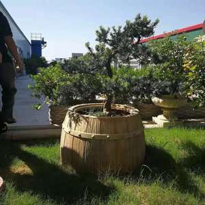 Moule de jardin en plastique en pot de béton en bois Xexture à vendre modèle moyen - Product Image 5