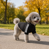 Vêtements pour animaux de compagnie en polaire légère, couleurs mélangées, logo personnalisé, veste zippée pour chien, vente en gros, printemps-automne