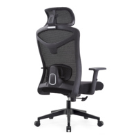 Chaise de bureau moderne et minimaliste multifonctionnelle, réglable en hauteur, ergonomique, en maille, avec fonction de levage et pivotante, idéale pour l'école