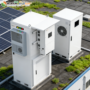 Solar 50KW 116Kwh <b>Energy</b> <b>Storage</b> <b>System</b> Outdoor Cabinet Grade a Battery Cells for Commercial and Industrial Use - Product Image 4