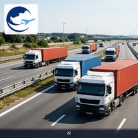 Transport de fret terrestre certifié de Xinjiang vers l'Estonie, service de fret LCL, convention TIR, service DDP DDU