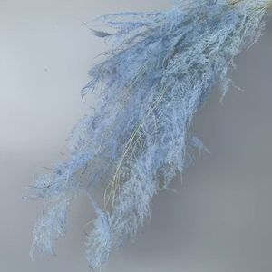 Yunnan Vente en gros Asperges conservées Fleurs de fougère pour la fête de mariage et décor de <span class=keywords><strong>maison</strong></span> Saint Valentin et Pâques Faveurs de mariage - Product Image 4