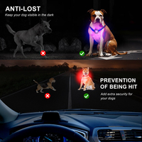 Lampes LED de sécurité pour chien personnalisées par l'usine UMIONE, pour la promenade nocturne, à clipser sur le collier, le harnais ou la laisse.