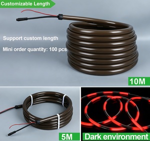 Luces de Neón ODM D22 D30 DMX de <span class=keywords><strong>360</strong></span> Grados, 24V, para Discotecas, Tubo de Silicona <span class=keywords><strong>LED</strong></span> RGBW Negro de <span class=keywords><strong>360</strong></span>°, Neón Flexible para Clubes y Festivales de Música - Product Image 4