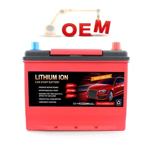 Tùy chỉnh 24V 36V 48V 52V 60 V 72V 20Ah 40AH 60Ah LiFePO4 xe điện pin 60 Volt Lithium có thể sạc lại ion Battery Pack