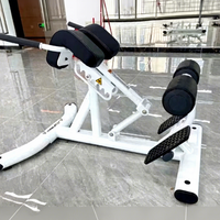 Chaise romaine réglable, banc d'hyperextension, équipement de fitness pour la maison, station d'extension dorsale en acier massif pour l'entraînement de la force centrale