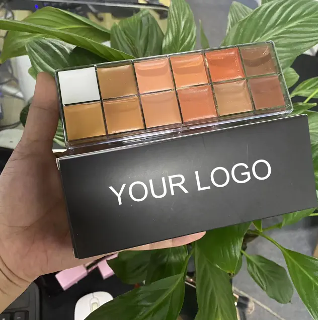 Großhandel Vegan Make-up wasserdicht vollflächige cremige Grundierung Palette 12 Farben Concealer Palette für dunkle Haut