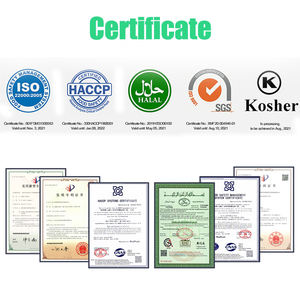 Venta al por mayor Cápsulas médicas vacías Tamaño 00 Cápsulas vegetales vacías duras vegetarianas - Product Image 2