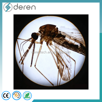 Medical Parasitology Glass Microscope Prepared Slides for Zoology Parasite Teaching-Deren DRPR