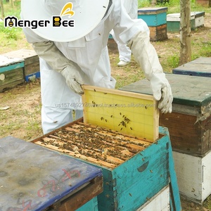 Cadres de ruche assemblés National Beehive Langstroth avec fondation en cire - Product Image 2